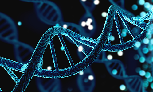 GHK Cu Activación de los genes de reparación del ADN