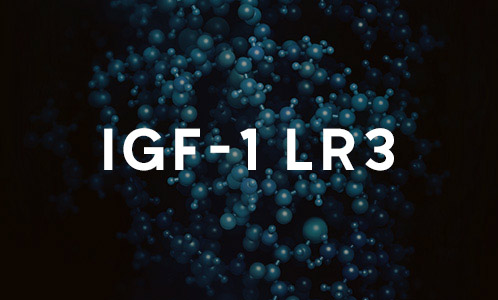 IGF-1 LR3 Que Es